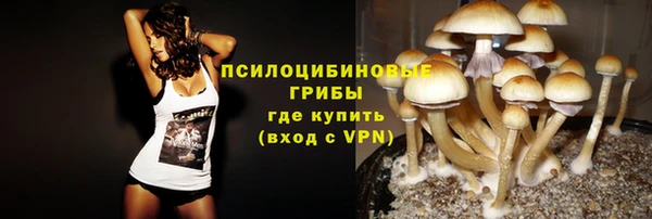 таблы Новозыбков