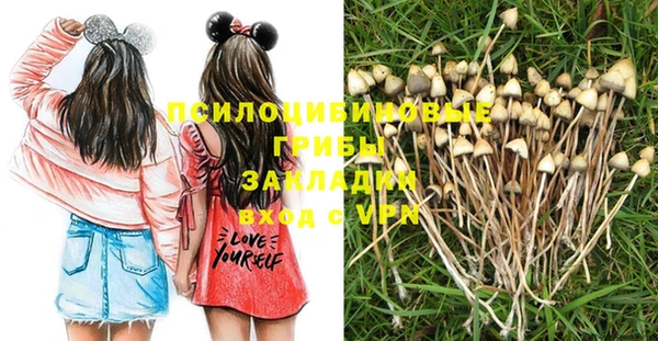 соль курить ск Арсеньев