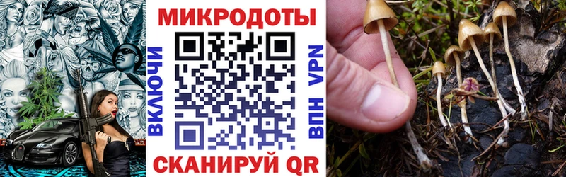 Псилоцибиновые грибы Psilocybine cubensis  ссылка на мегу ссылка  Суздаль 