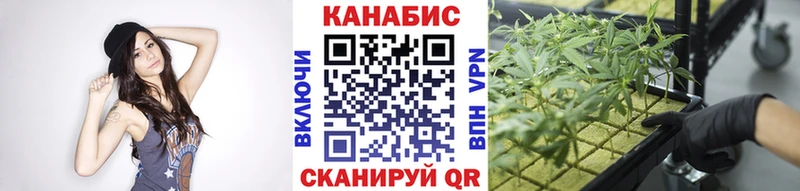kraken как войти  Суздаль  Бошки марихуана MAZAR 